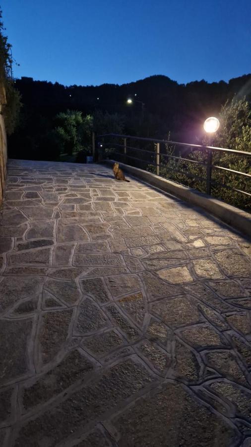 Villa Degli Ulivi Tivegna 外观 照片