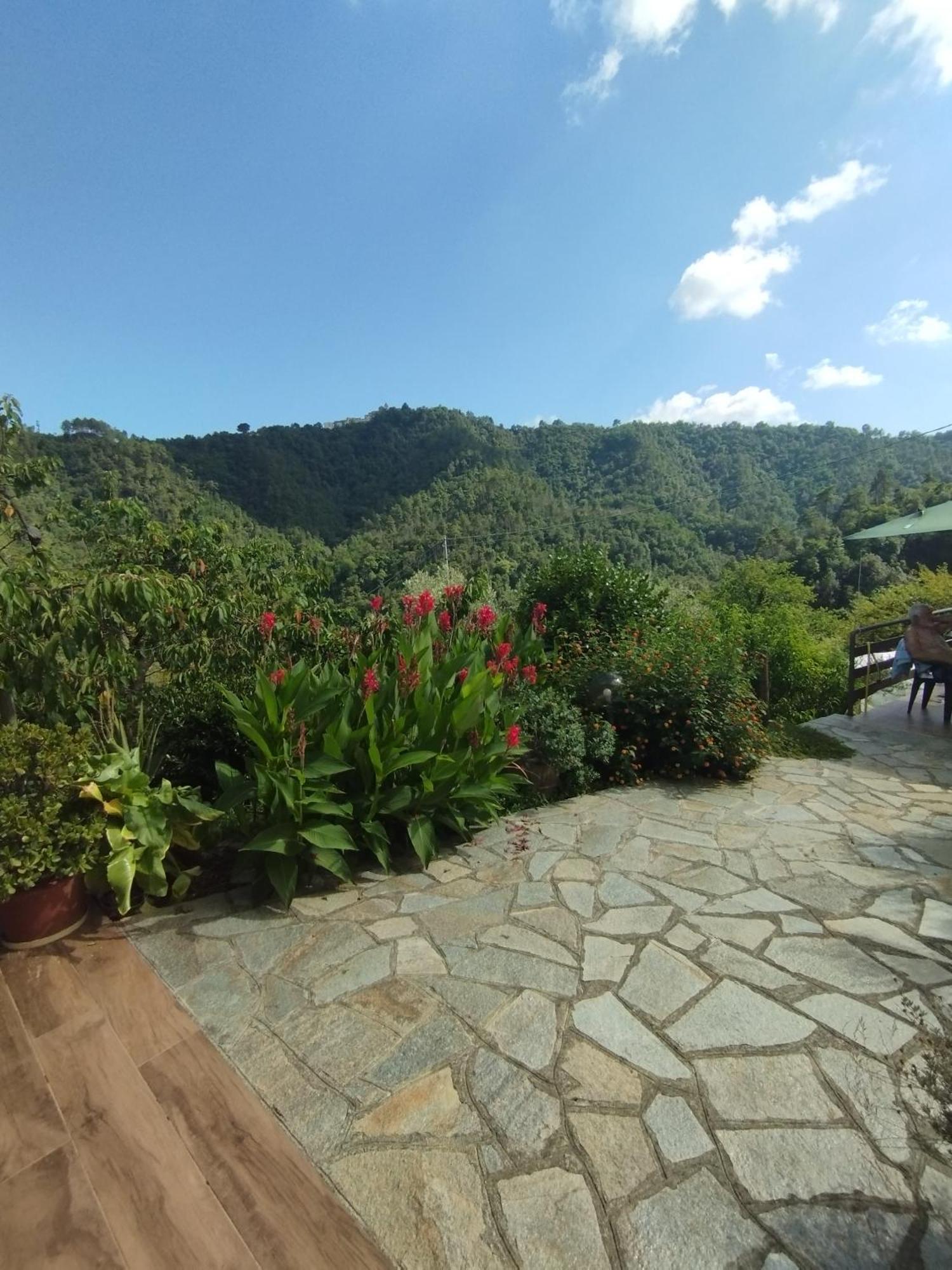 Villa Degli Ulivi Tivegna 外观 照片