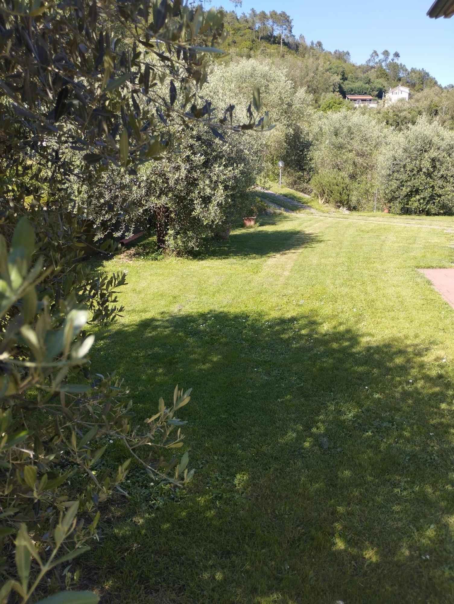 Villa Degli Ulivi Tivegna 外观 照片