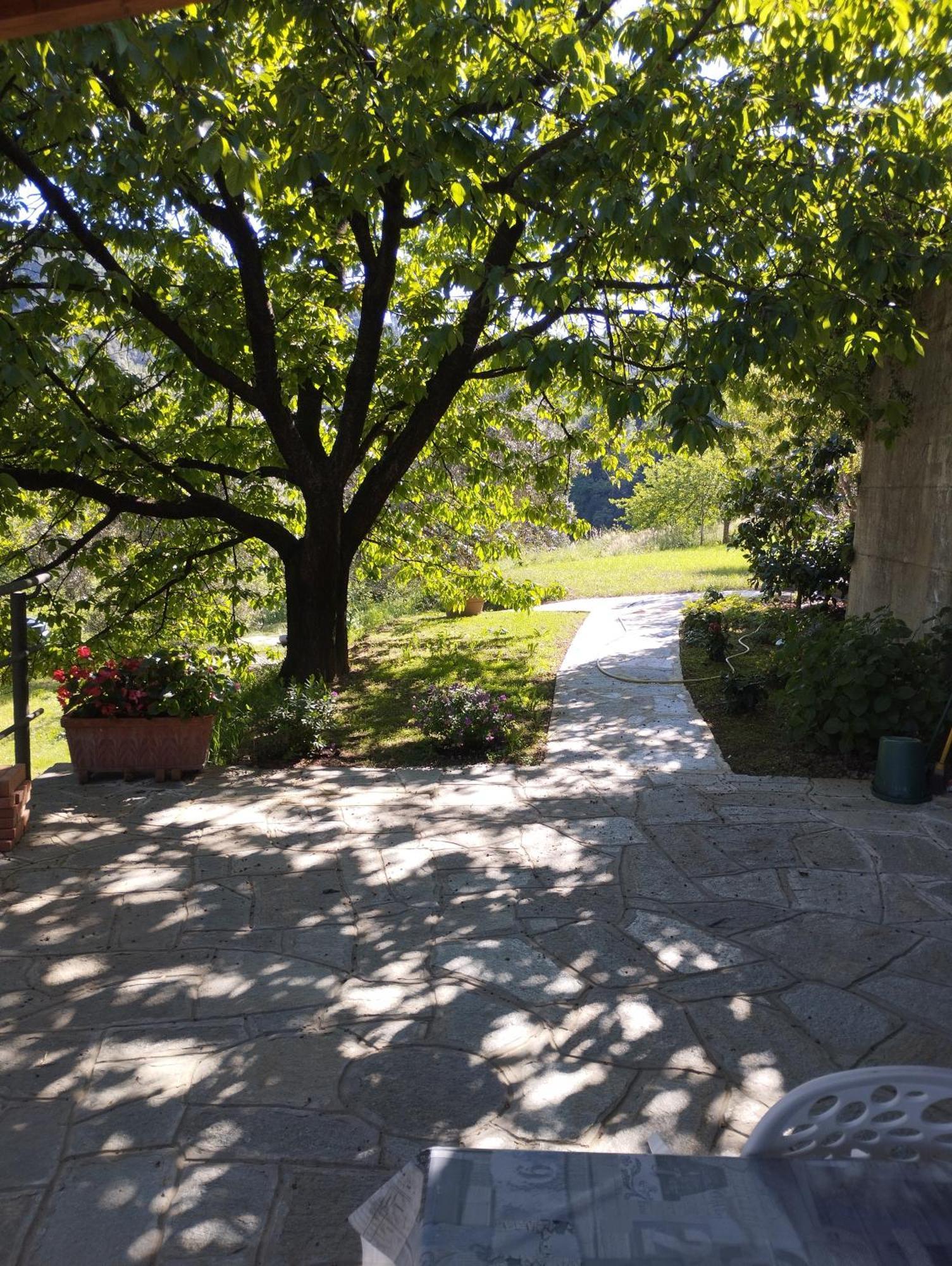 Villa Degli Ulivi Tivegna 外观 照片