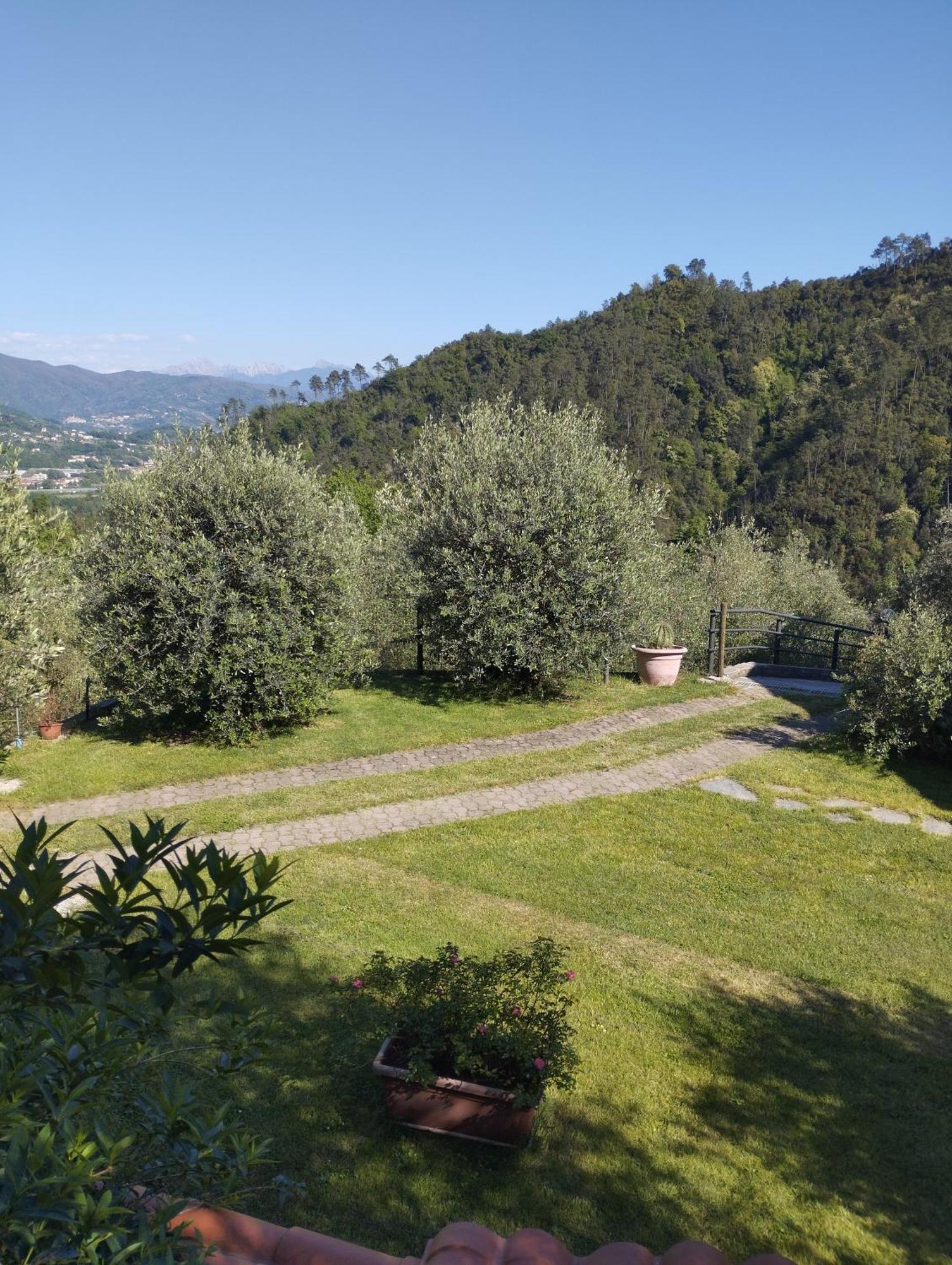 Villa Degli Ulivi Tivegna 外观 照片